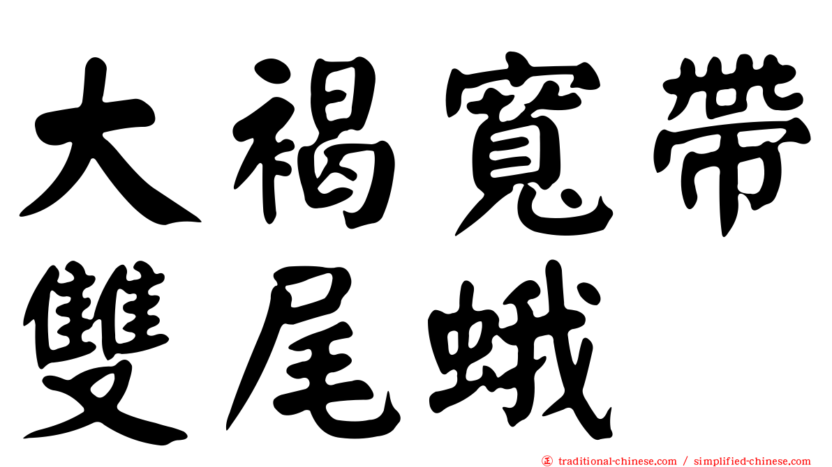 大褐寬帶雙尾蛾