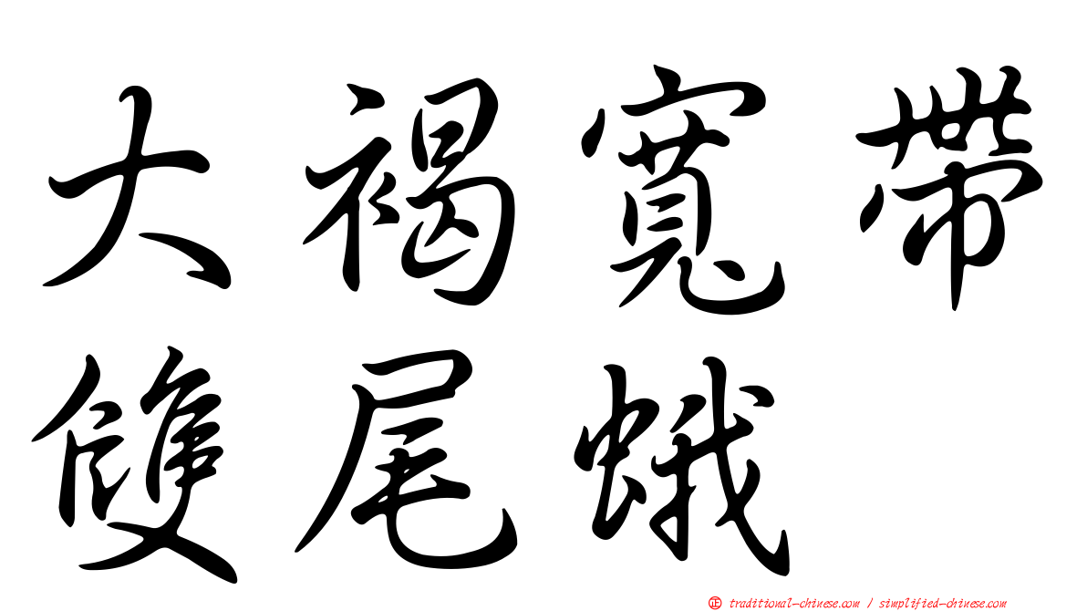 大褐寬帶雙尾蛾