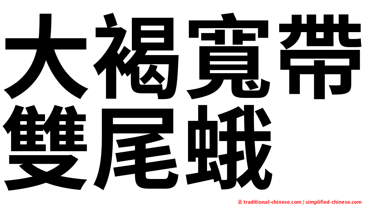 大褐寬帶雙尾蛾