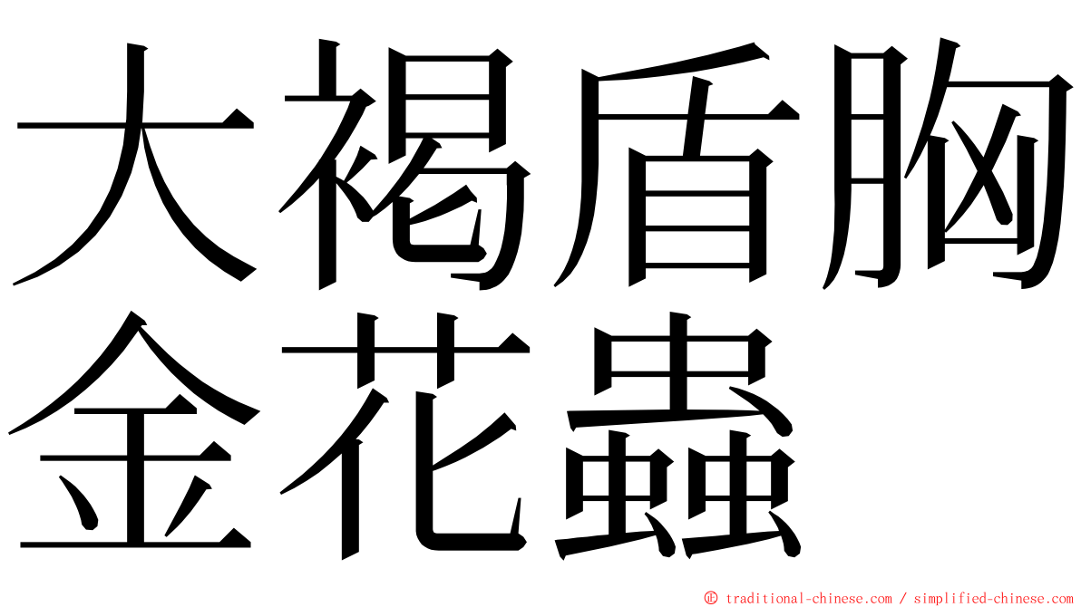 大褐盾胸金花蟲 ming font