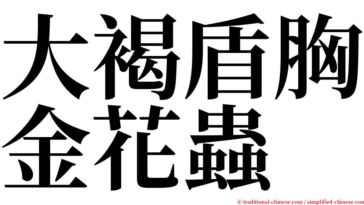 大褐盾胸金花蟲 serif font