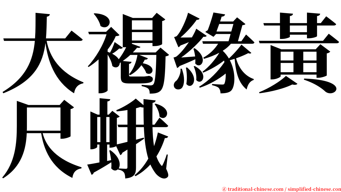 大褐緣黃尺蛾 serif font