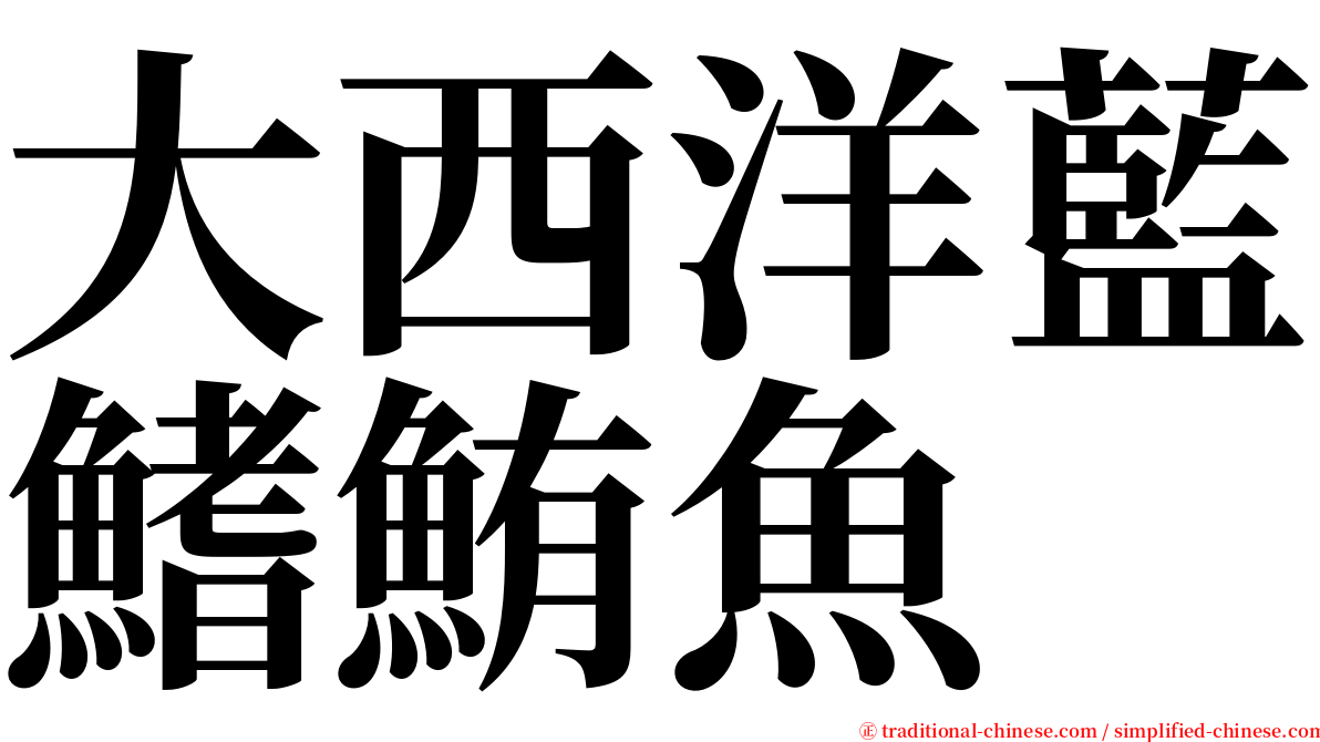 大西洋藍鰭鮪魚 serif font