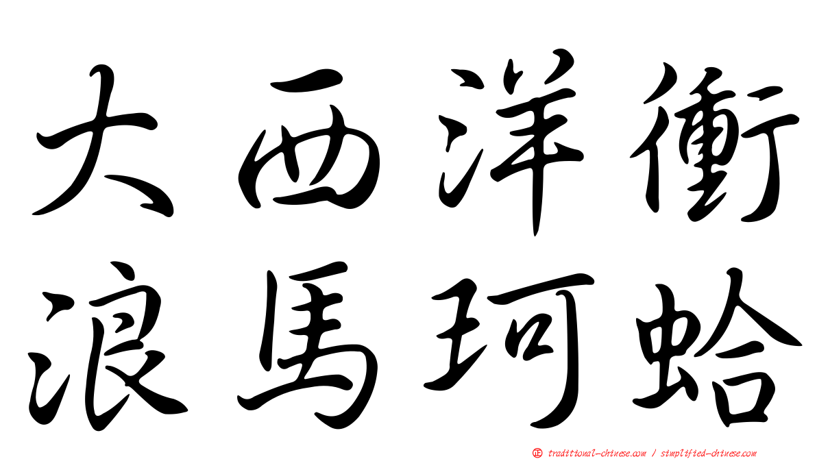 大西洋衝浪馬珂蛤