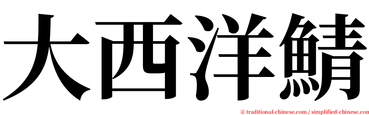 大西洋鯖 serif font