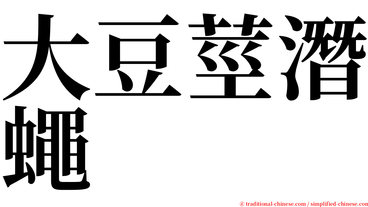 大豆莖潛蠅 serif font