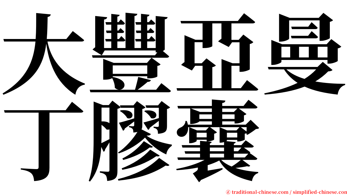 大豐亞曼丁膠囊 serif font