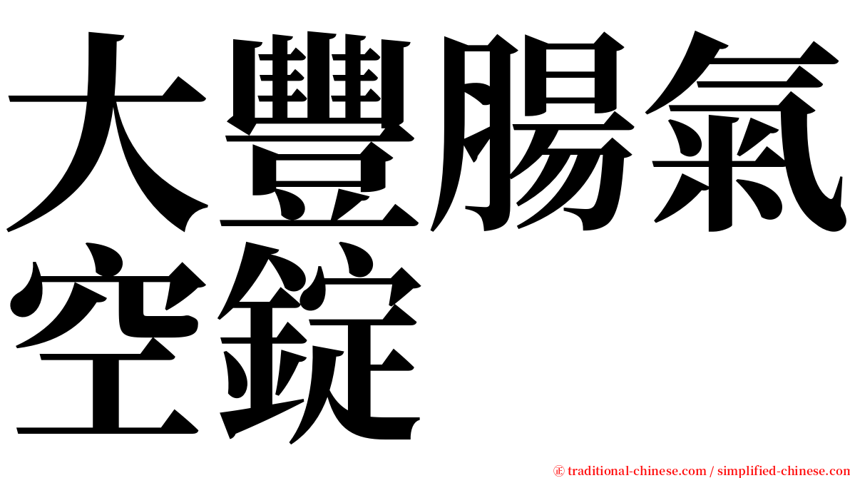 大豐腸氣空錠 serif font