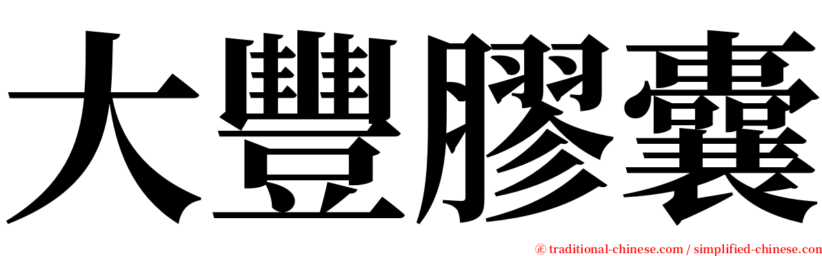 大豐膠囊 serif font