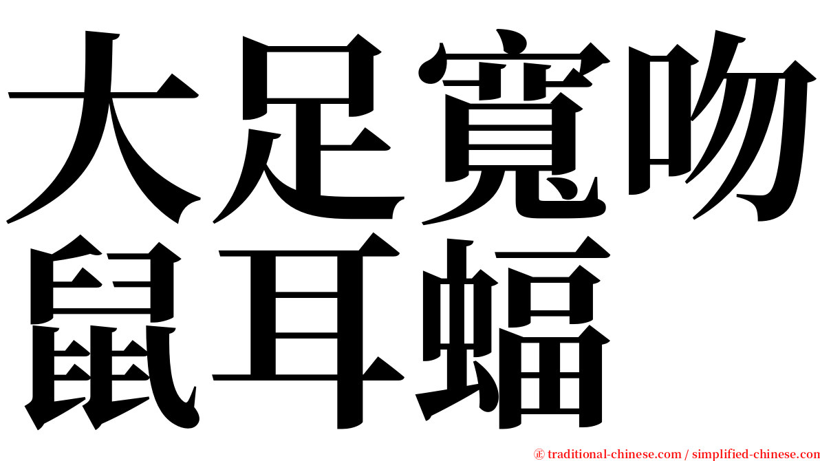 大足寬吻鼠耳蝠 serif font