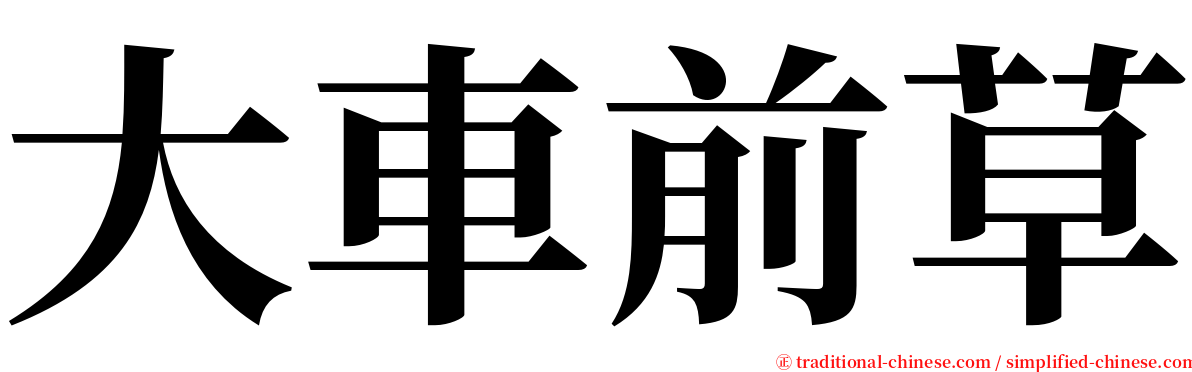 大車前草 serif font