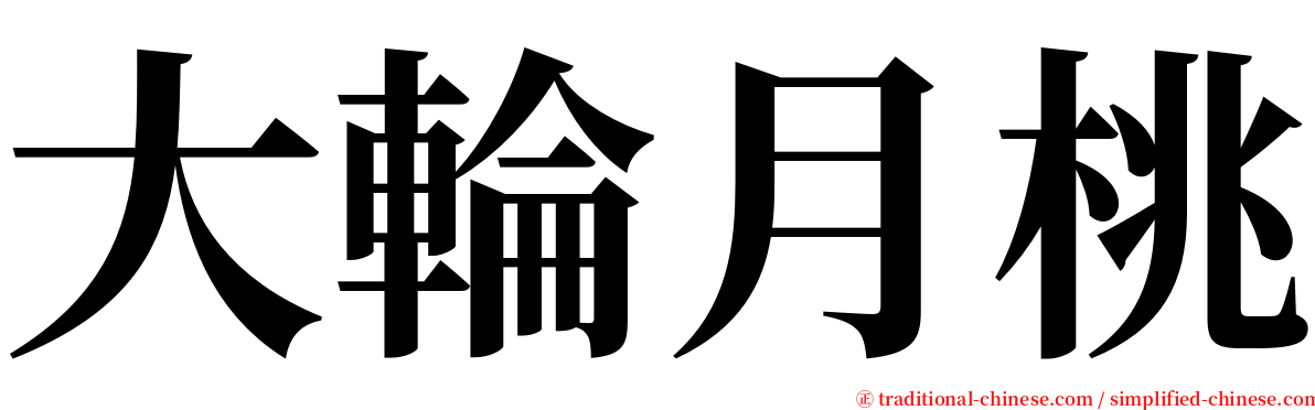 大輪月桃 serif font