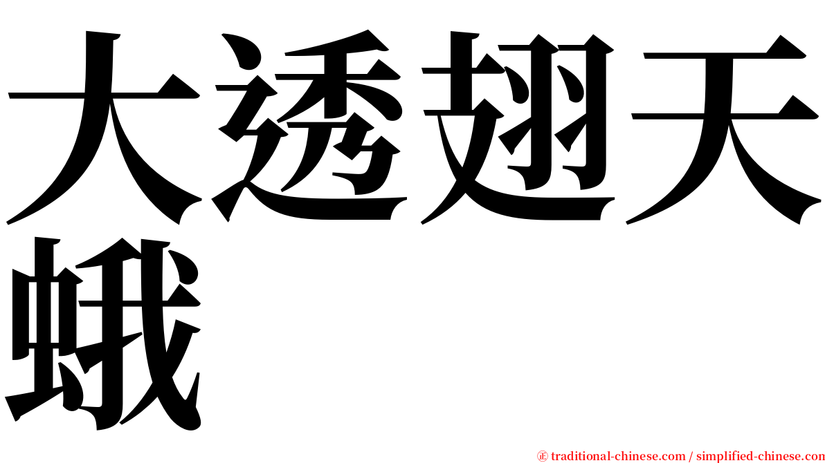 大透翅天蛾 serif font