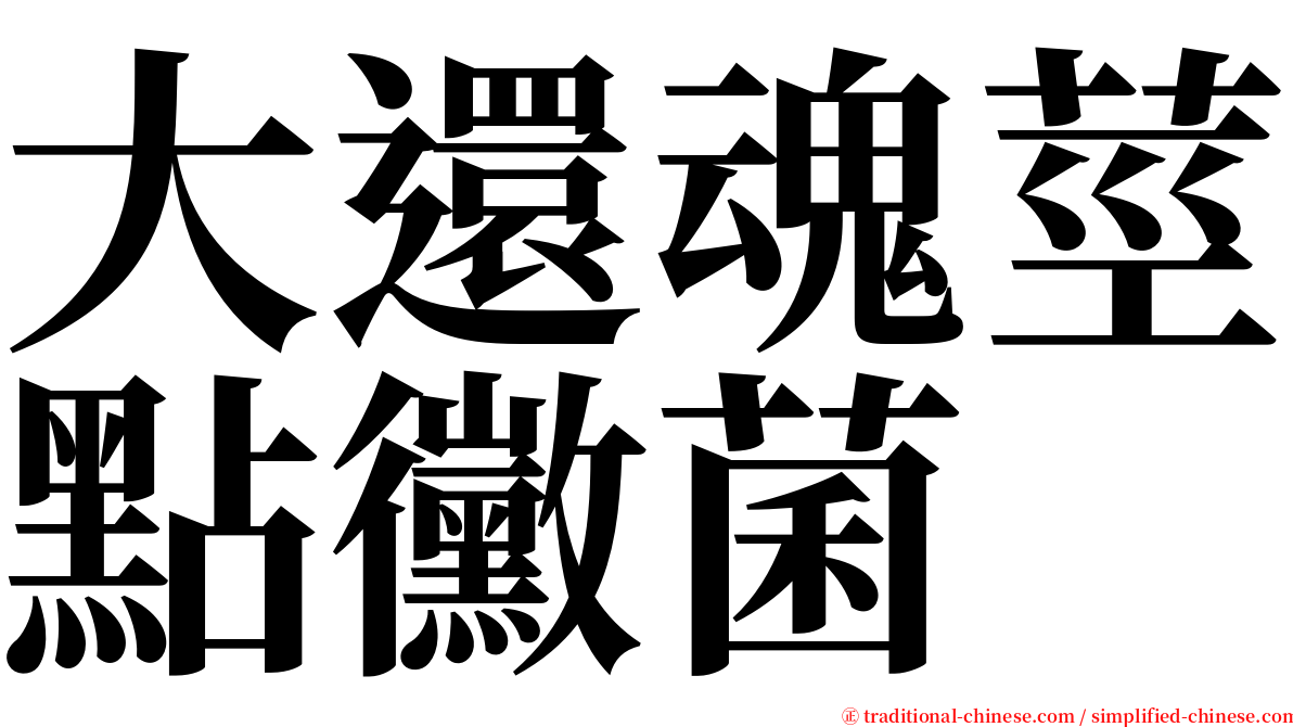 大還魂莖點黴菌 serif font