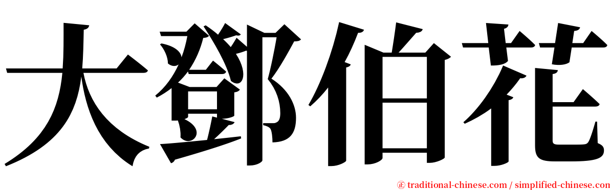 大鄧伯花 serif font