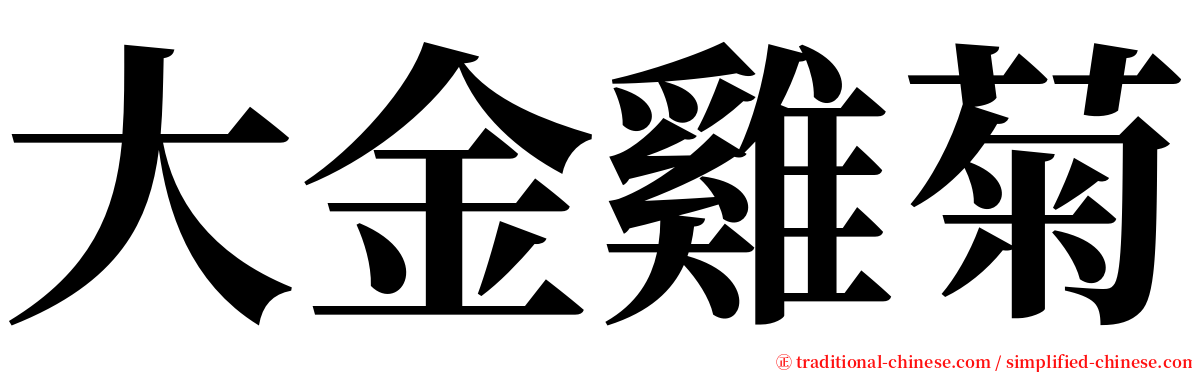 大金雞菊 serif font