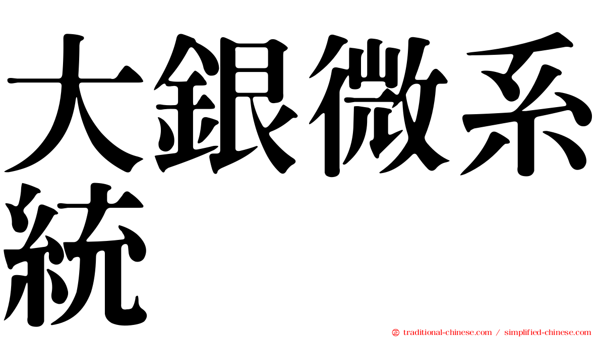 大銀微系統