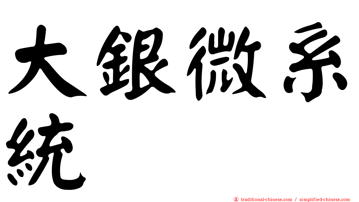 大銀微系統
