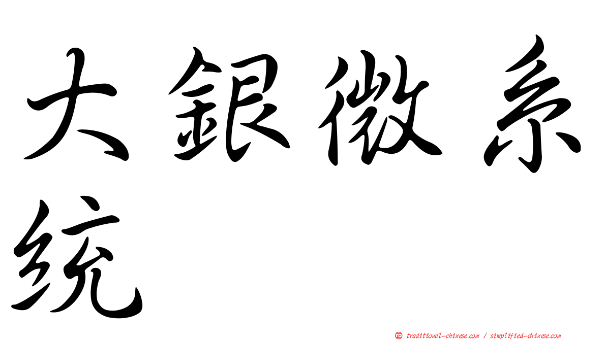 大銀微系統