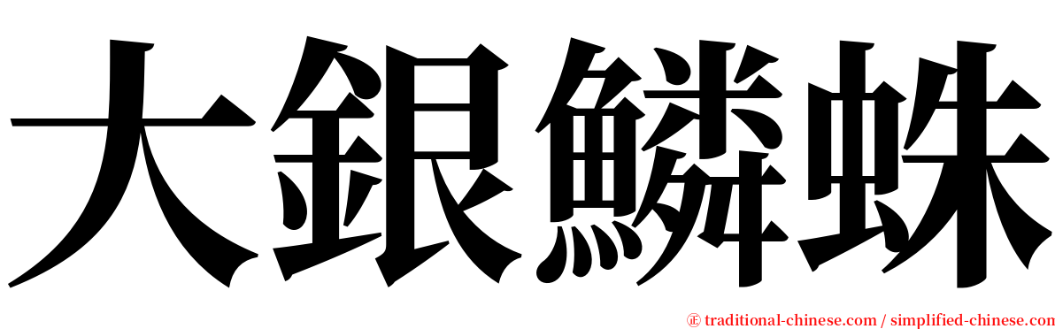 大銀鱗蛛 serif font