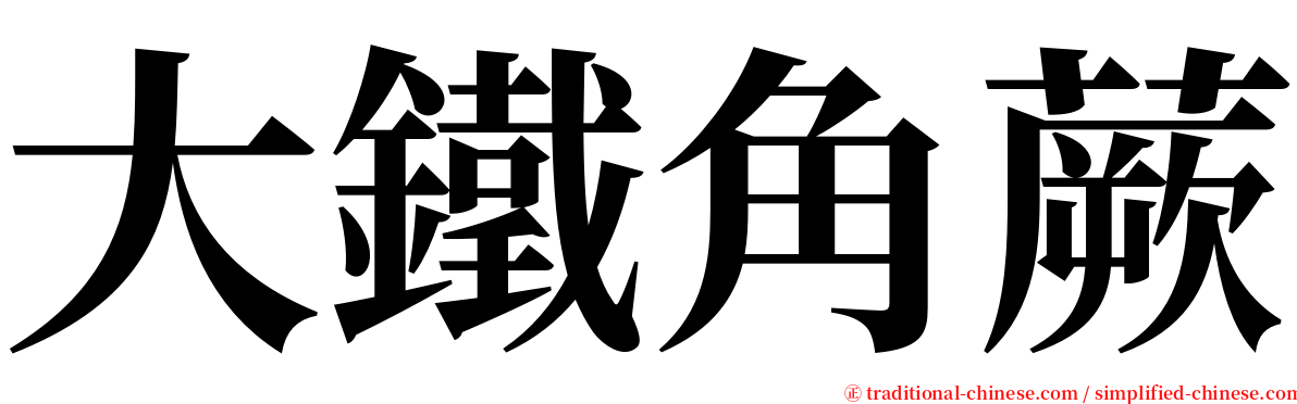 大鐵角蕨 serif font