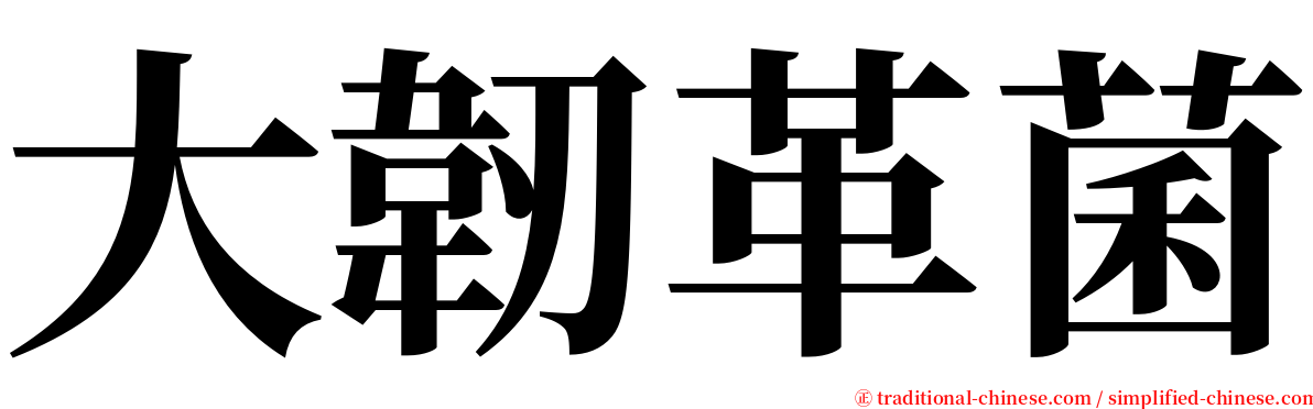 大韌革菌 serif font