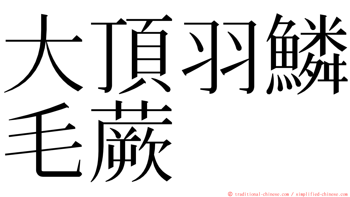 大頂羽鱗毛蕨 ming font