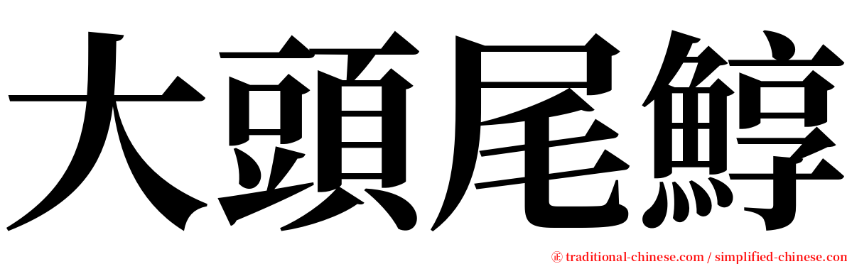 大頭尾鯙 serif font