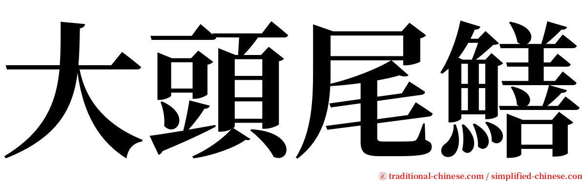 大頭尾鱔 serif font