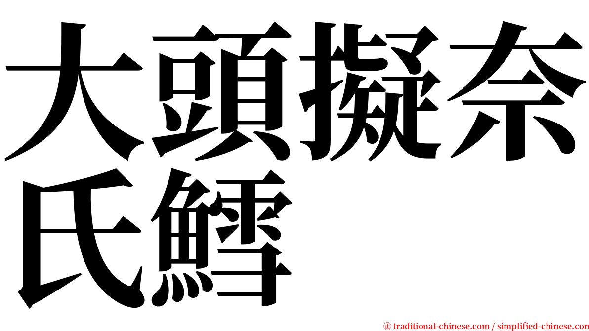 大頭擬奈氏鱈 serif font