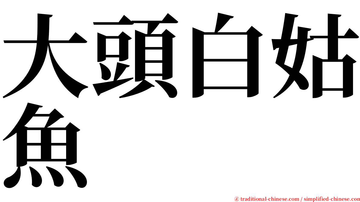 大頭白姑魚 serif font