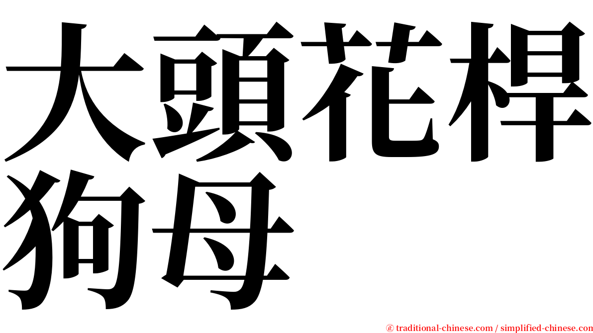 大頭花桿狗母 serif font