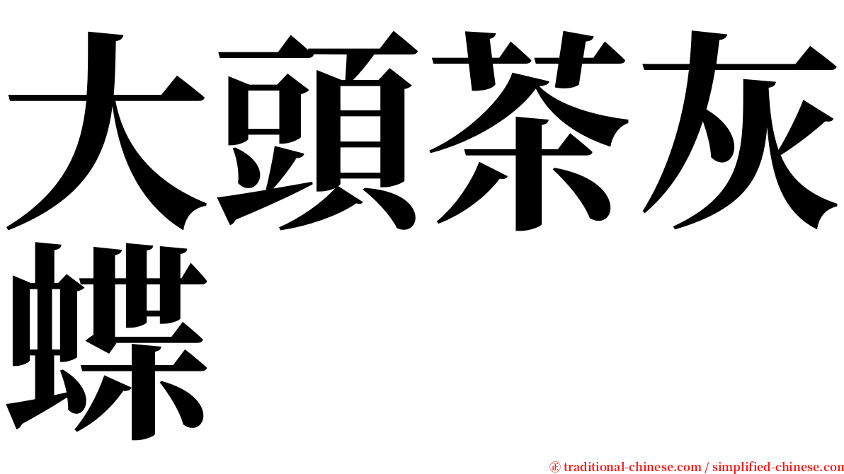 大頭茶灰蝶 serif font