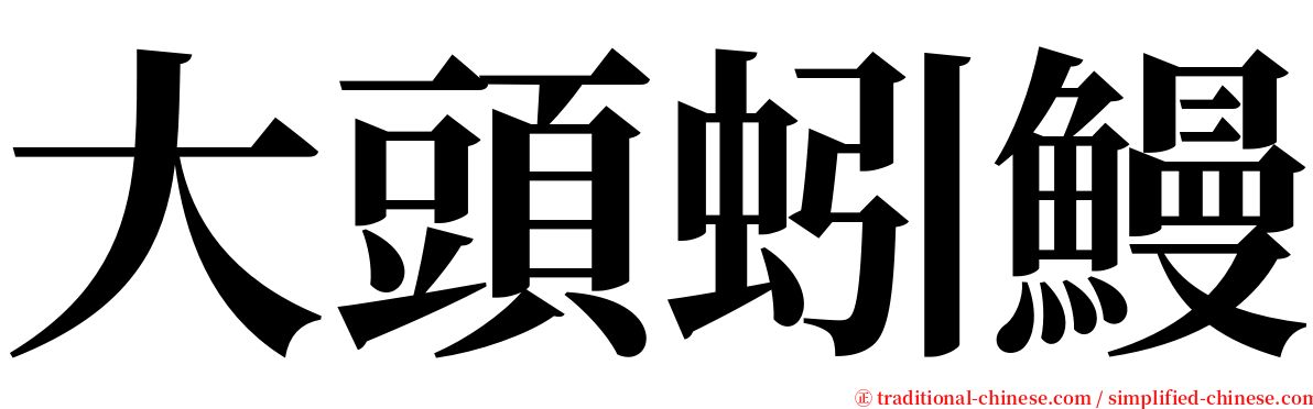 大頭蚓鰻 serif font