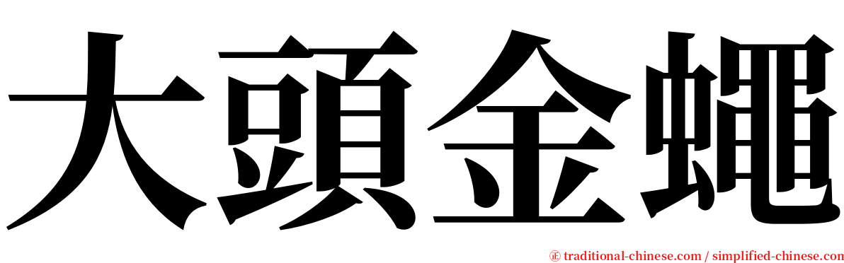 大頭金蠅 serif font