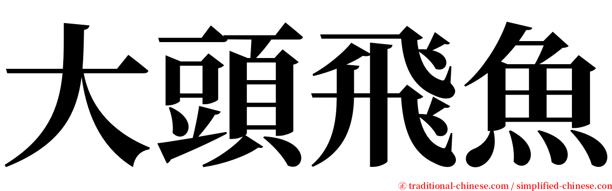 大頭飛魚 serif font