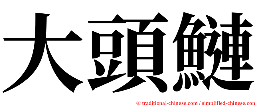 大頭鰱 serif font