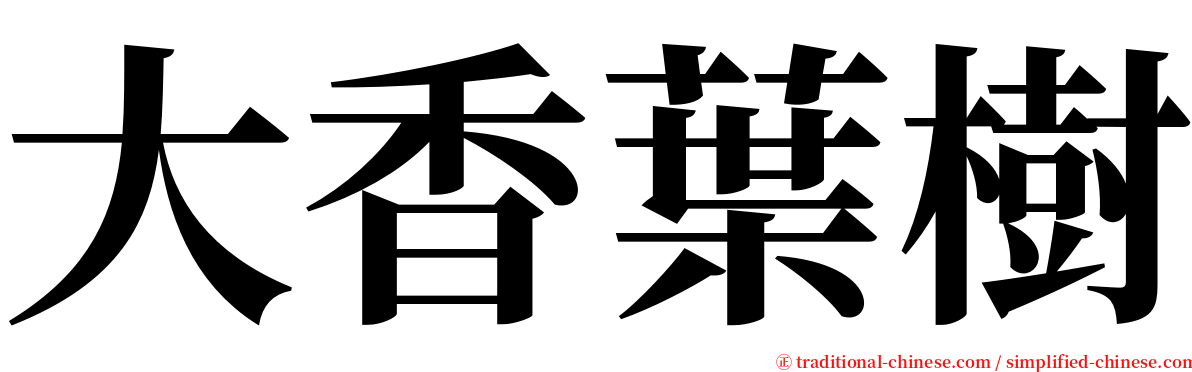 大香葉樹 serif font