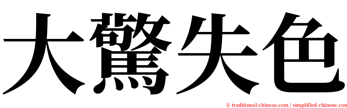 大驚失色 serif font