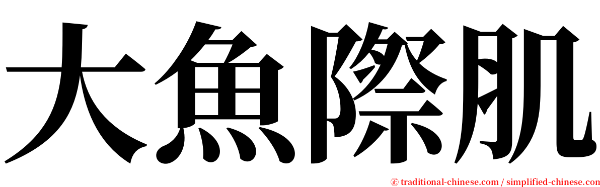 大魚際肌 serif font