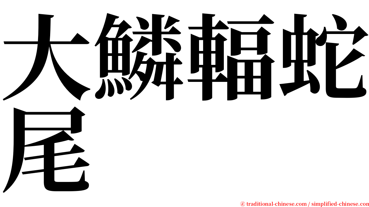 大鱗輻蛇尾 serif font