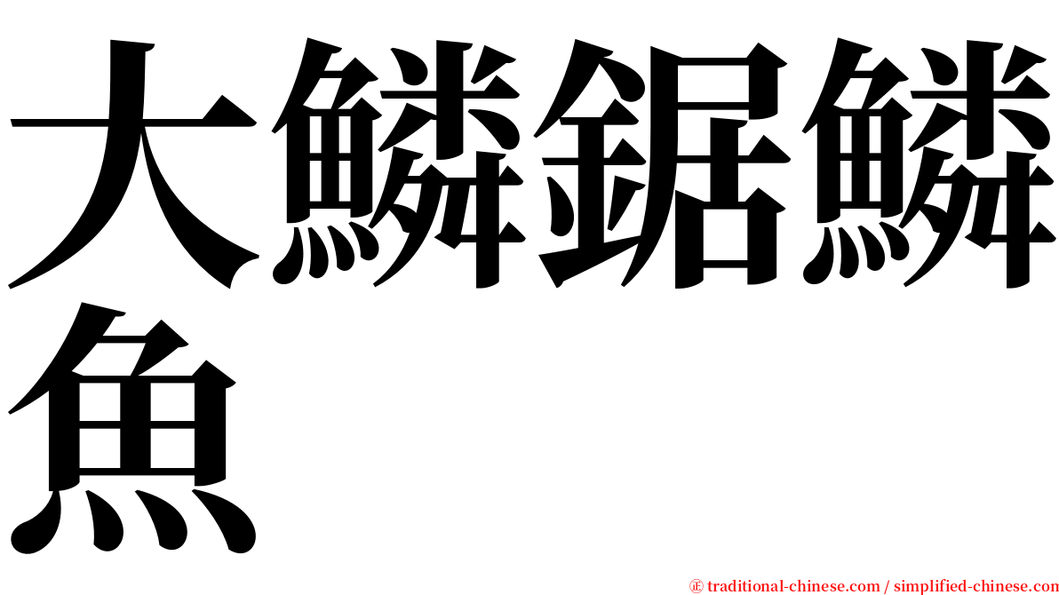 大鱗鋸鱗魚 serif font