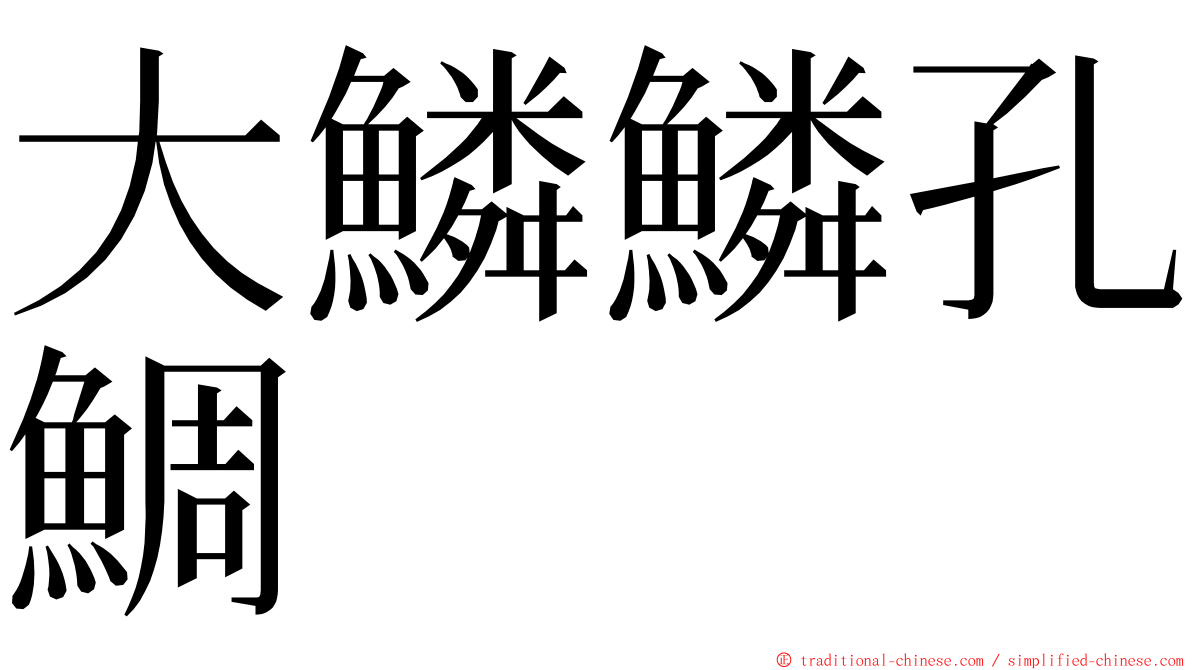 大鱗鱗孔鯛 ming font