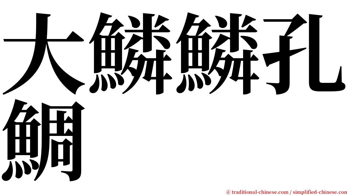 大鱗鱗孔鯛 serif font