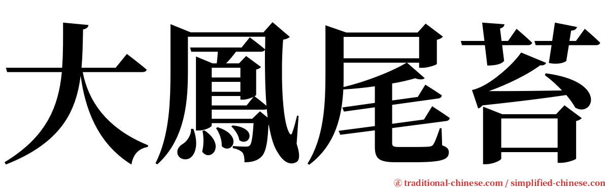 大鳳尾苔 serif font