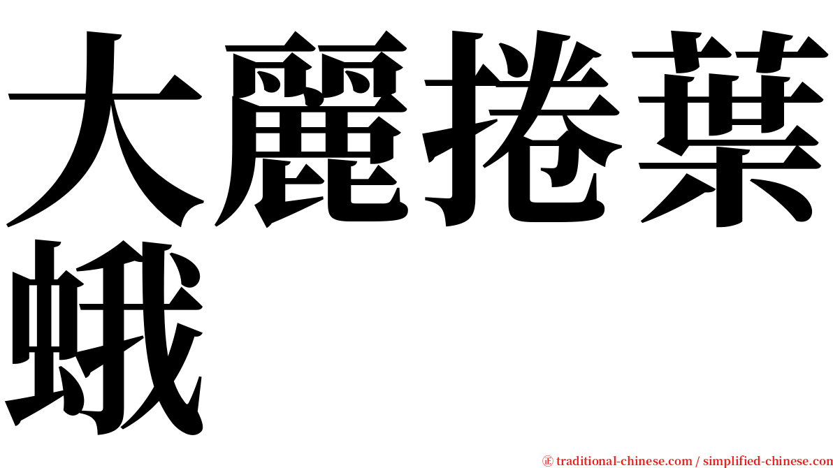 大麗捲葉蛾 serif font