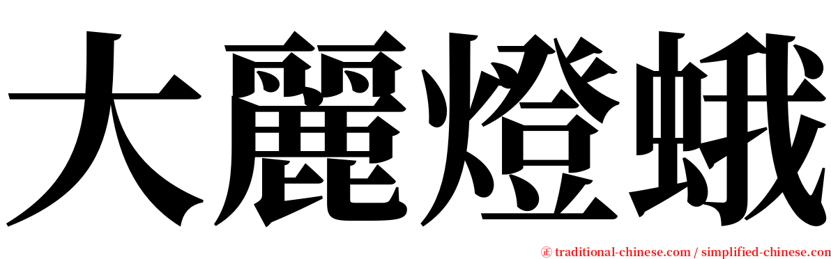 大麗燈蛾 serif font