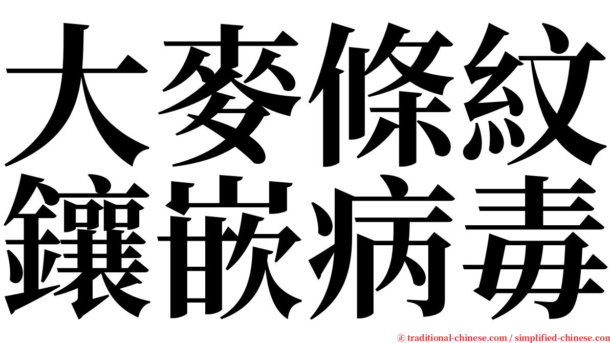 大麥條紋鑲嵌病毒 serif font