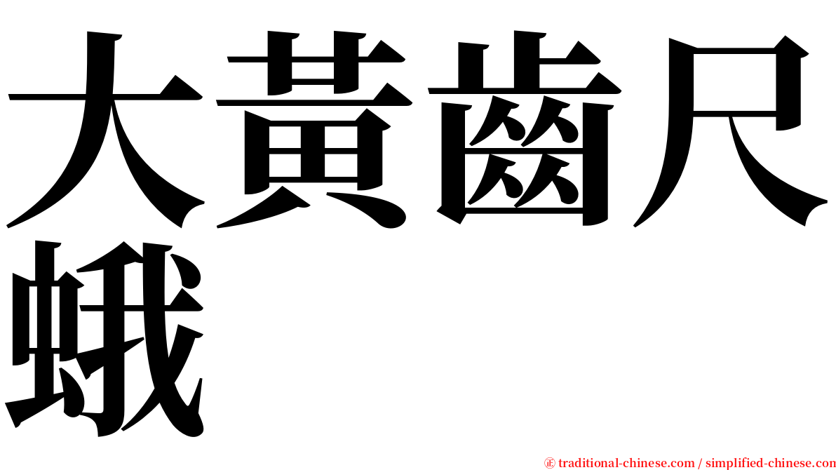 大黃齒尺蛾 serif font