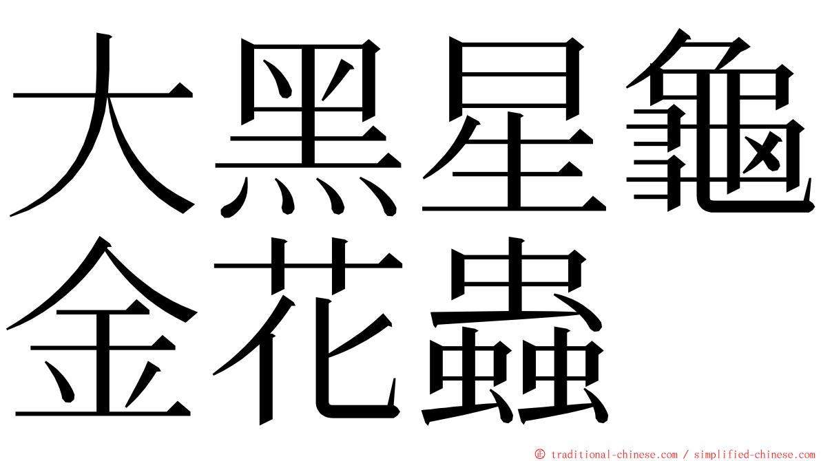 大黑星龜金花蟲 ming font